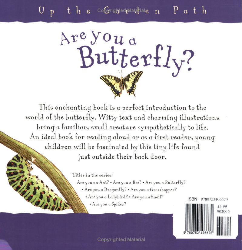 Are You a Butterfly?